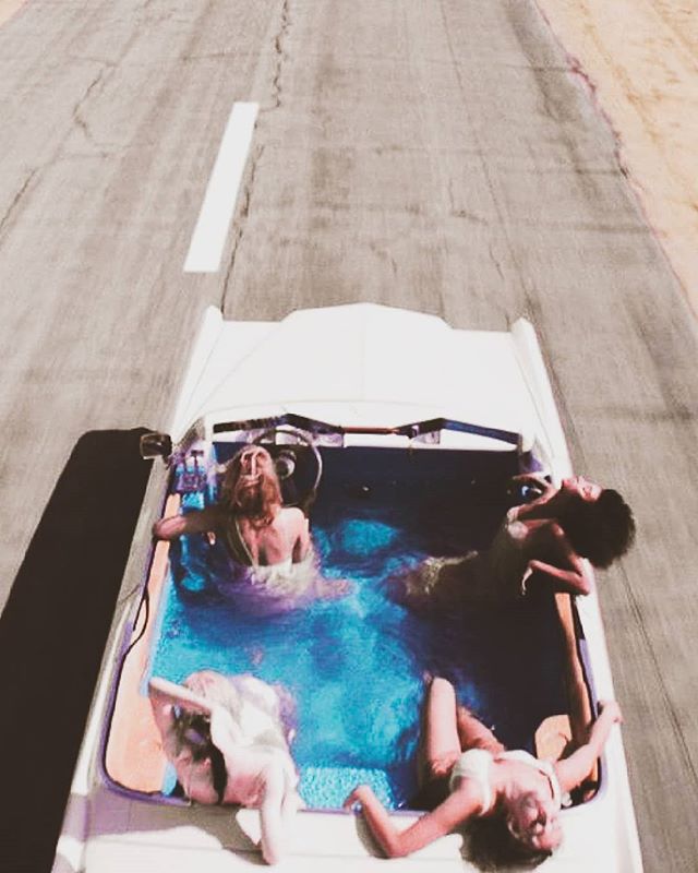 Diving into Kitty headfirst 🐅
It's Thursday, you know we're open. See you for #happyhour