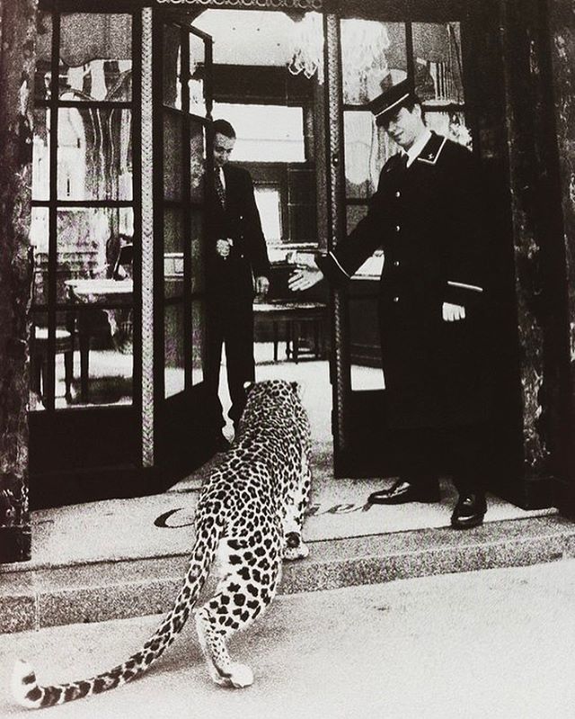 Watch out, VIP comin through. 
Open at 6pm, happy hour until 8.